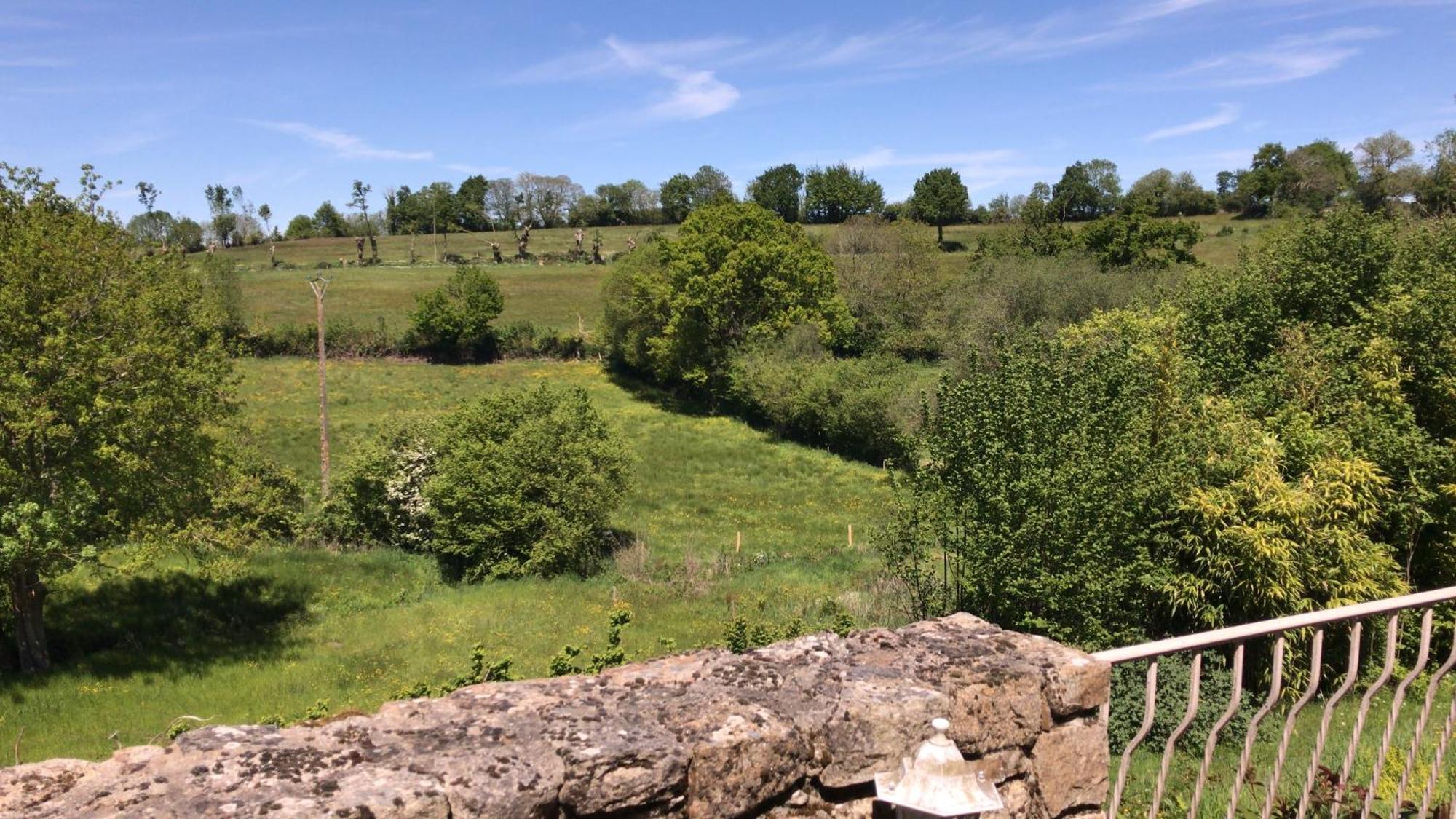 Papillons B&B - Beauty, Comfort And Peace 25 Mins From Puy Du Fou Montournais Exteriér fotografie