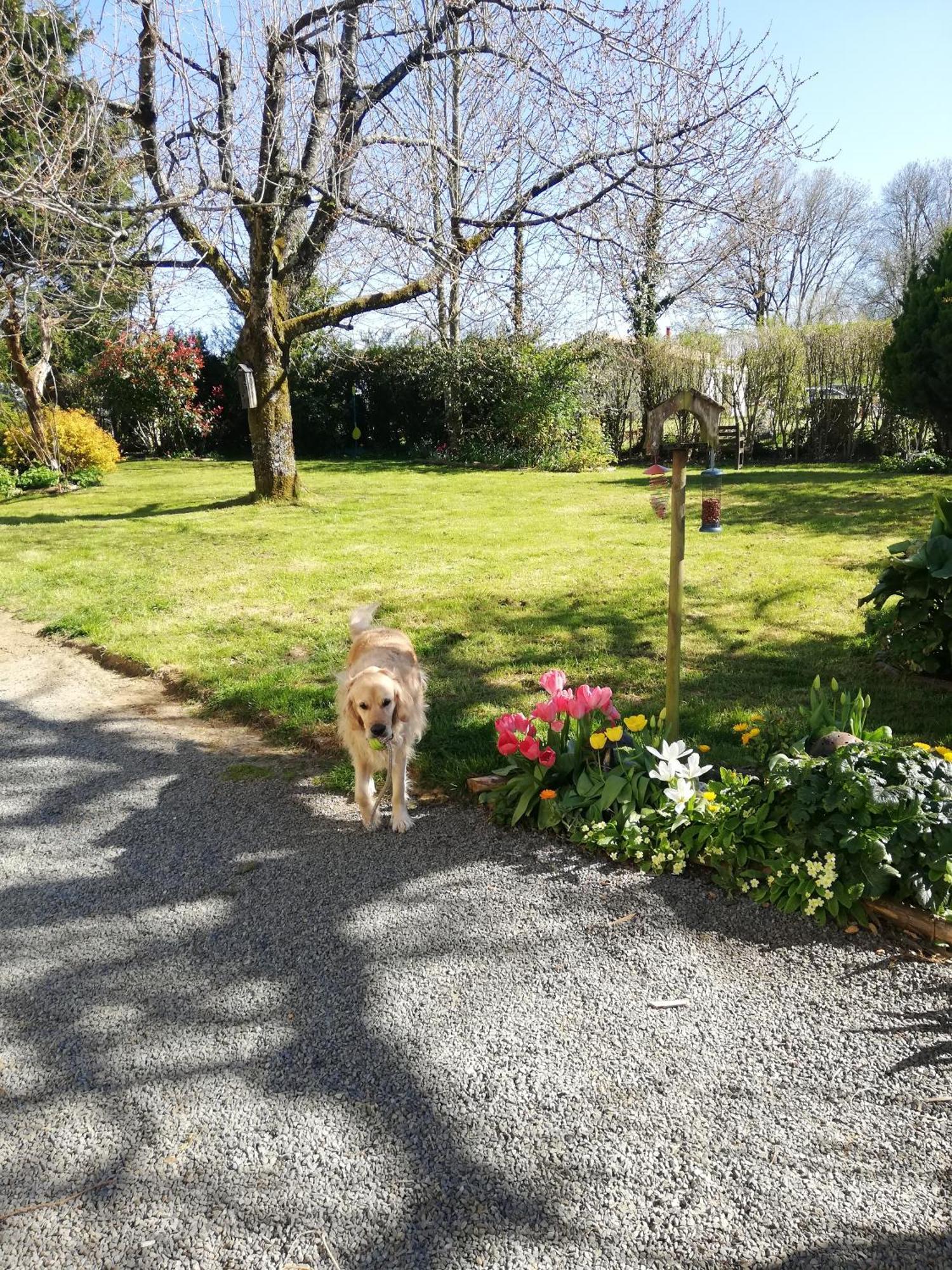 Papillons B&B - Beauty, Comfort And Peace 25 Mins From Puy Du Fou Montournais Exteriér fotografie